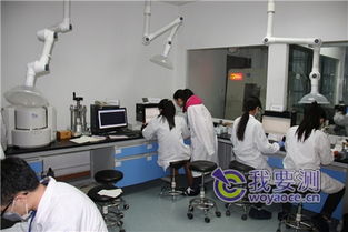 測網訪上海微譜化工技術服務 技術開發賦能產業升級